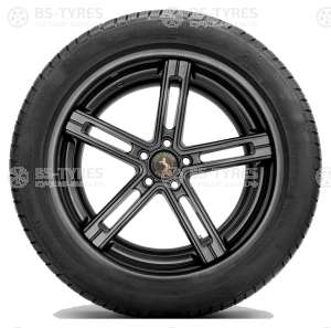 Continental ContiWinterContact TS830P 255/35 R20 97W